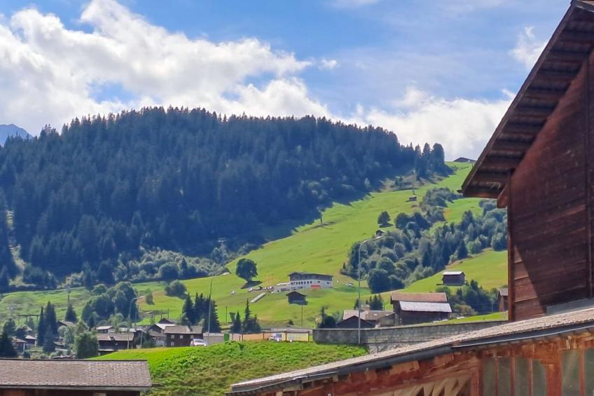Biala Casa Pintga Streiff, (Rueras), - foto 29
