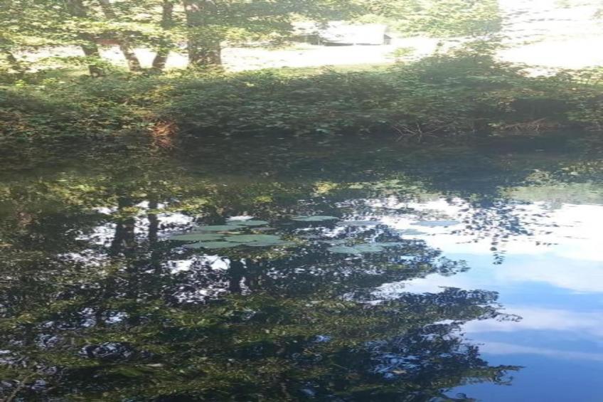 Chalet - TURQUESTEIN - foto 34