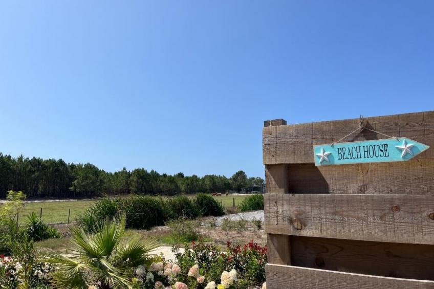 Haus Bamboo in Odeceixe mit ruhiger Terrasse - foto 16