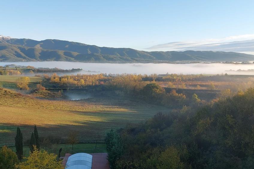 Flache Linde - foto 26