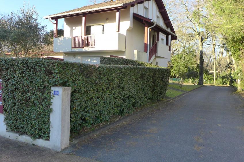 Les écureuils - foto 13