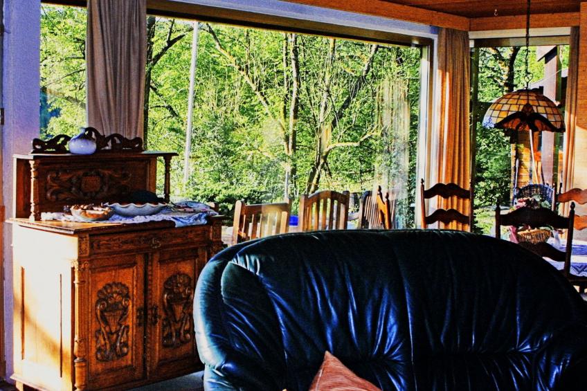 Chalet Wiedfluh in Waldbreitbach - foto 7