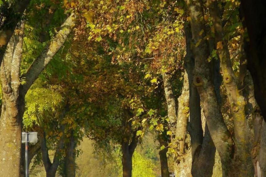 Haus Budinger - foto 17