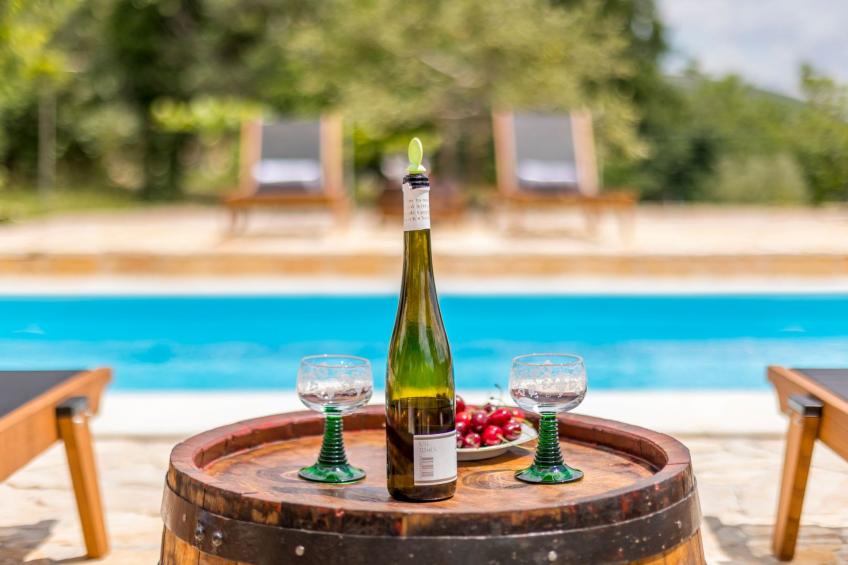 Villa Podrugovi Dvori mit Pool - foto 31