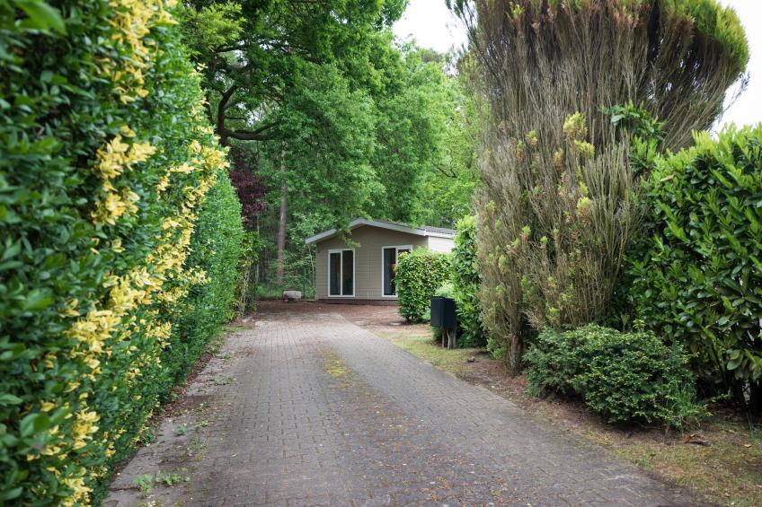 Vakantie home Coevorderweg - foto 7