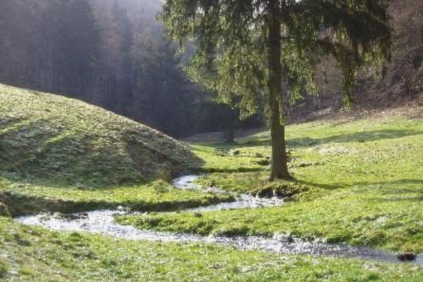 mit Terrasse - foto 5