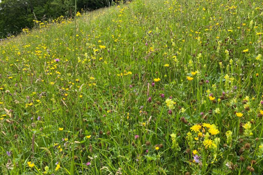 FeWO Allgäu Chalet - gemütliche Hüttenatmosphäre und Schwimmbad und Sauna im Ha - foto 31