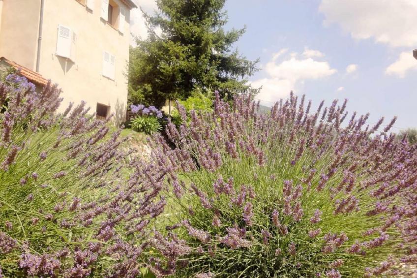 Locations-06 - das haus von noelie 1. stock - foto 36