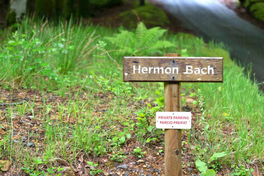 Hermon Bach - foto 23