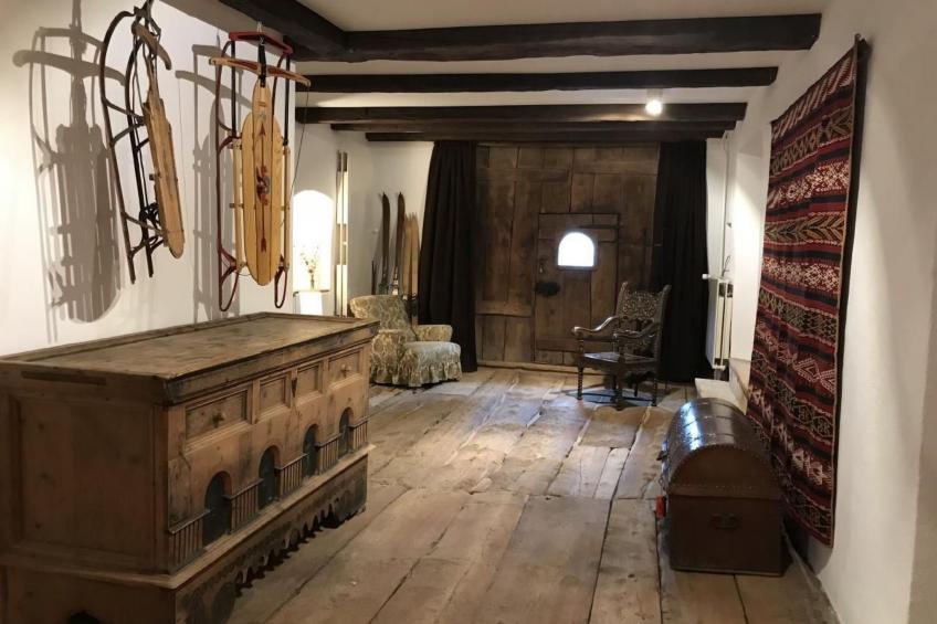 Chesa Delfins - foto 14