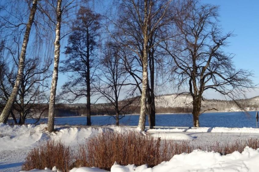 Rosenapartment - foto 29