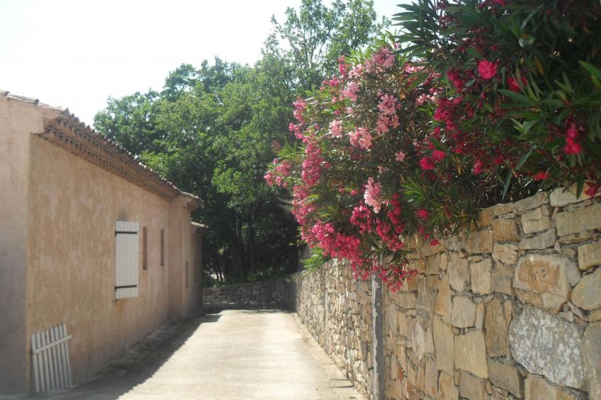 beheizter Pool ab Mitte April - foto 42