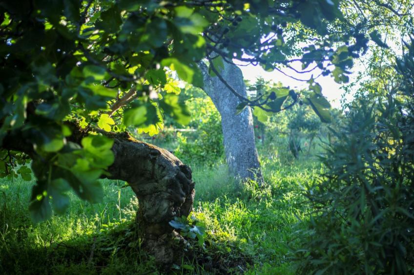 Rural Médulas Haus 1. für 4 PAX belegt. - foto 8