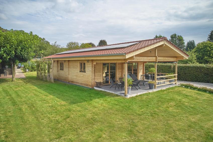 Bie Leentje op de Wei - foto 2