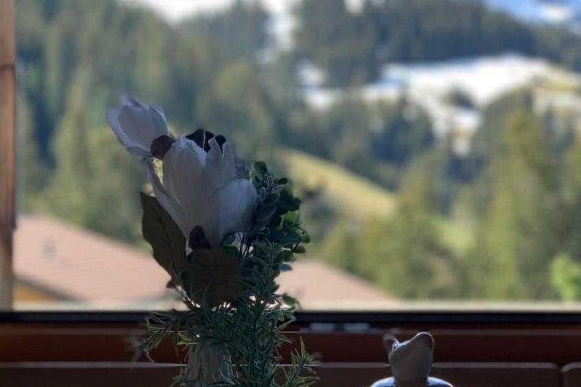 Chalet Bärgblüemli - foto 14