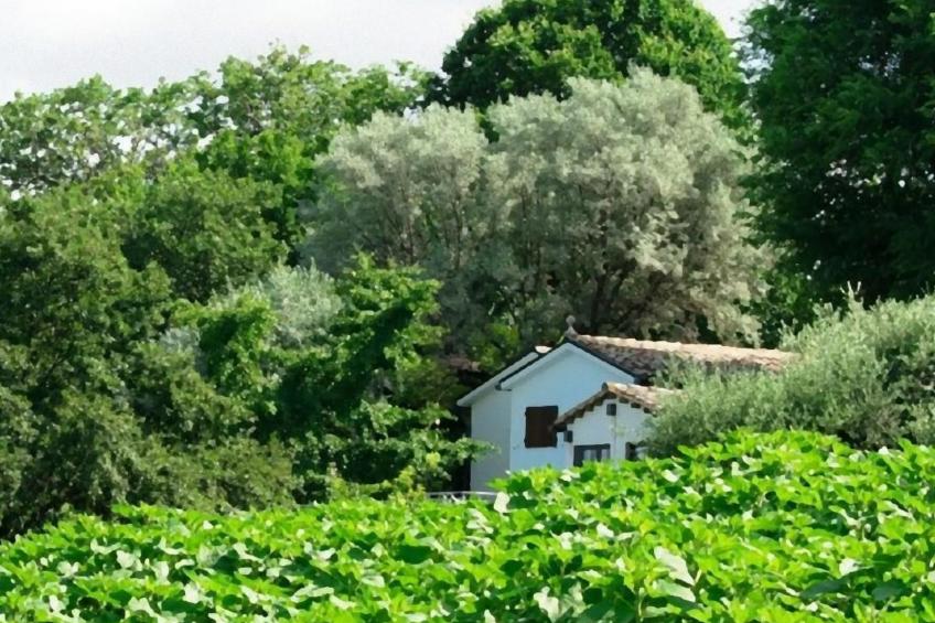 OWL Apartment - Pool - Ansichten - Kunst - foto 33