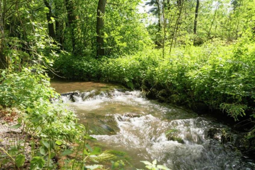 Dreamer 49 - foto 34