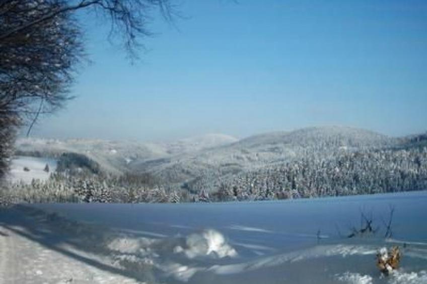 Appartement in Elbersreuth mit Garten - foto 15