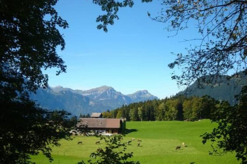 Ferien im grünen rechts - foto 8