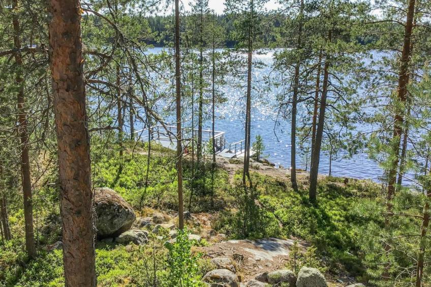 Näsinjoutsen - foto 19