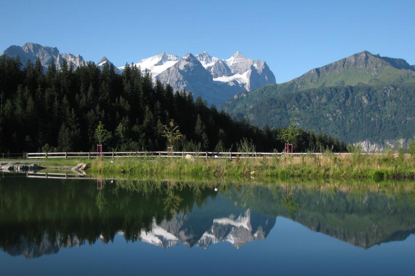 Schaad 4-Bett-Wohnung - foto 10