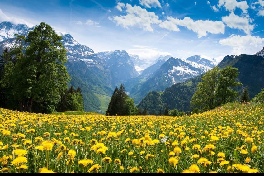 Balcons B 025 - PARC NAT. VANOISE appart. 6 pers. - foto 4
