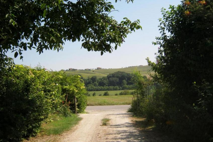 Vino - foto 28