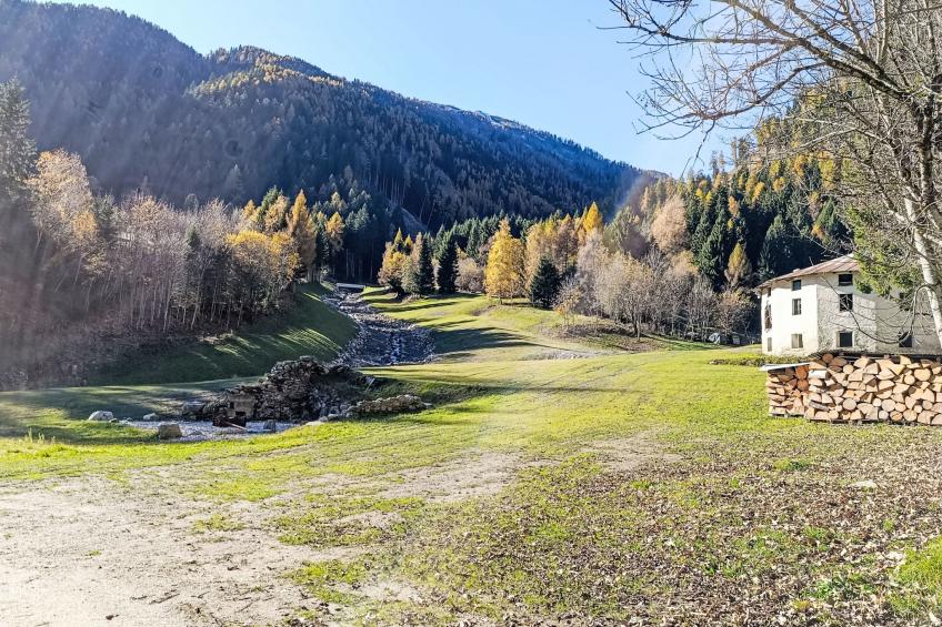 Maset Pozzati - foto 10