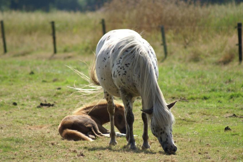 Geschmackvoll eingerichtetes Bauernhaus aus dem 19. - foto 46