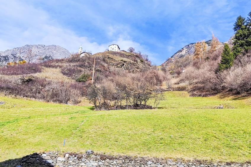 The Silent Sylva - foto 17