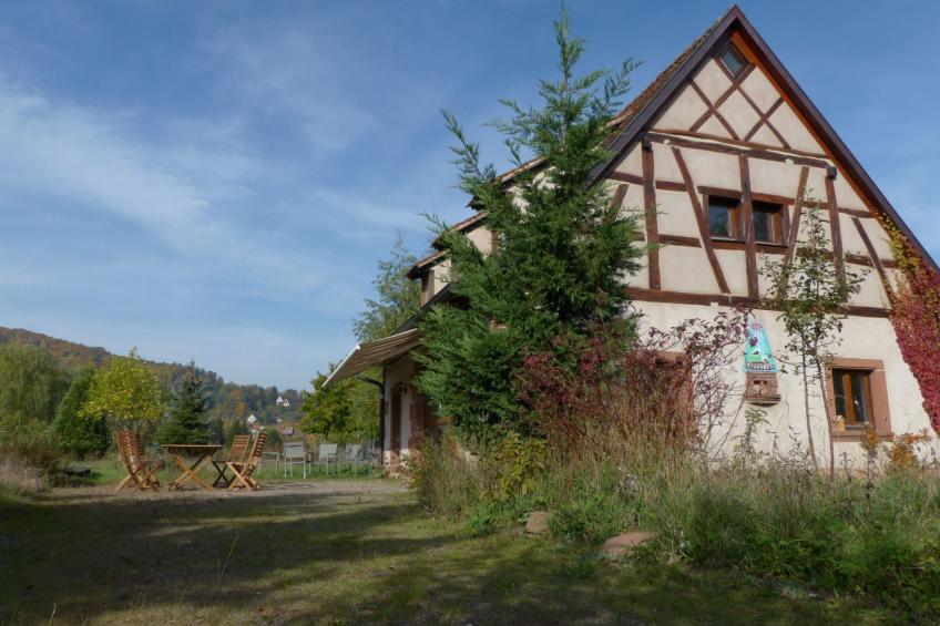 Domäne mit Terrasse, Grill und Garten - foto 2