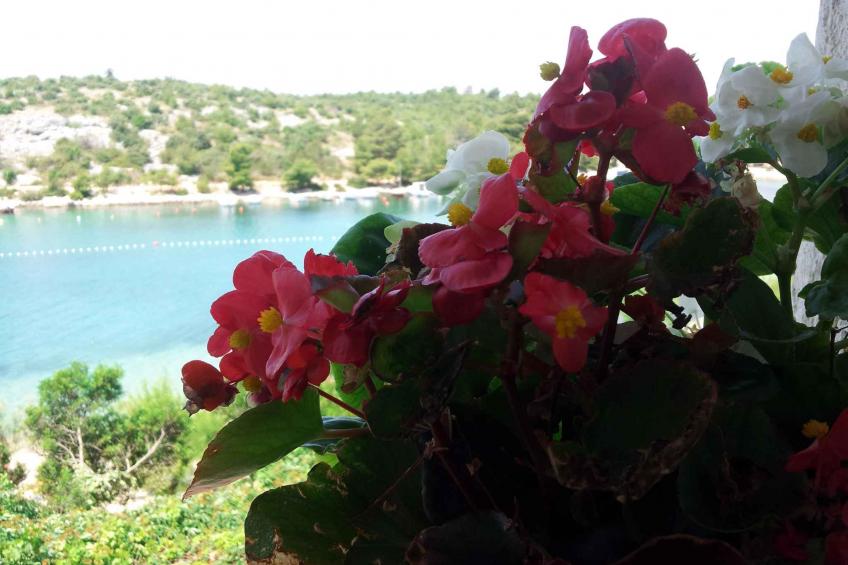 Holiday apartment 10 from the Adriatic - BF-YCJ7 - foto 8