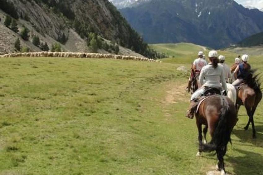 Appartement mit Terrasse - foto 47