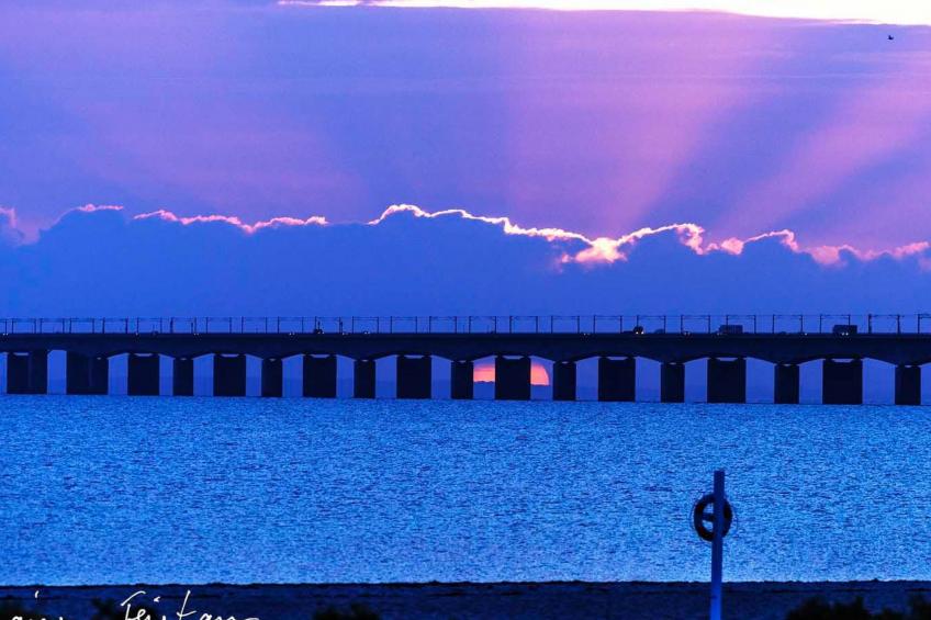 Skaerven Beachfront Wohnung D - foto 39