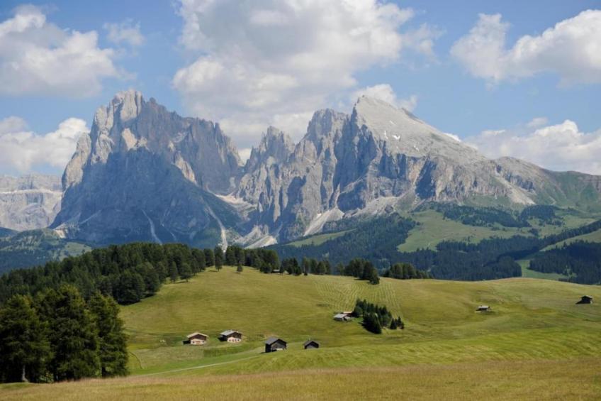 Cortina 2 - foto 15