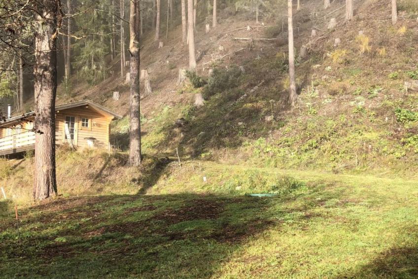 Solbacken Cottage und Lodge - foto 9