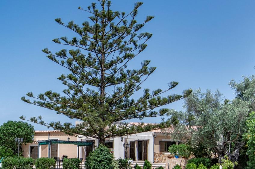 Schöne Villa in Cala Millor, Cala Bona - foto 18