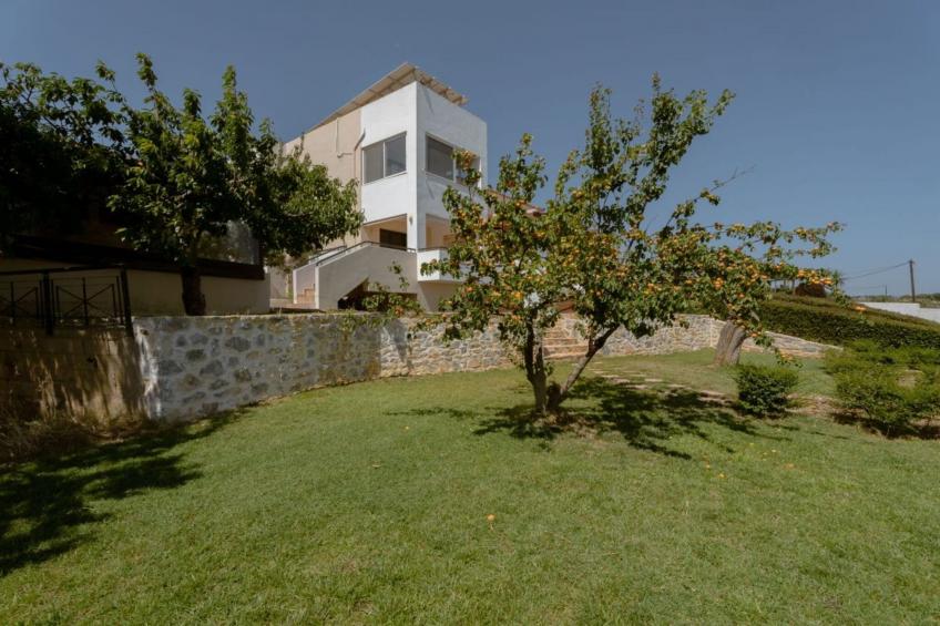 Halepa Hill - foto 53