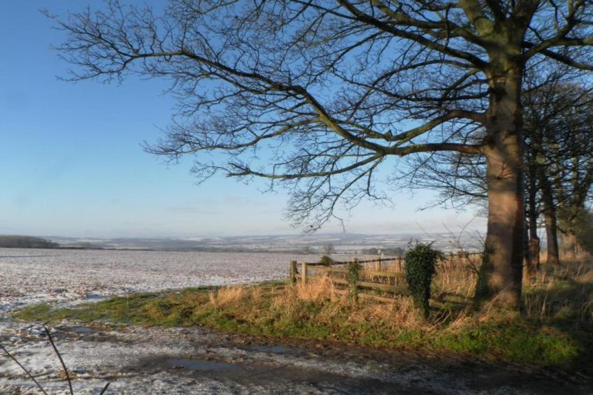 Ryedale Hall Cottage - foto 35