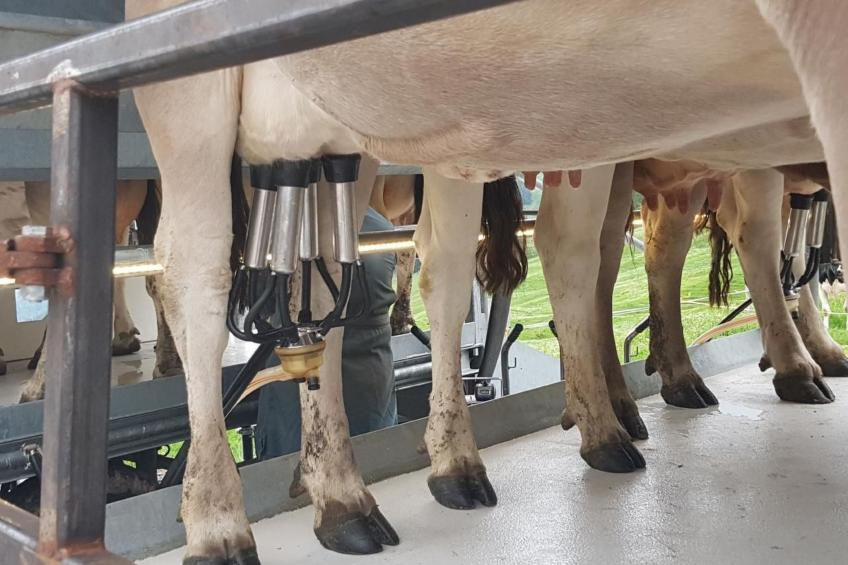 Ferien im Gugger - Wohnung Churfirsten - foto 22