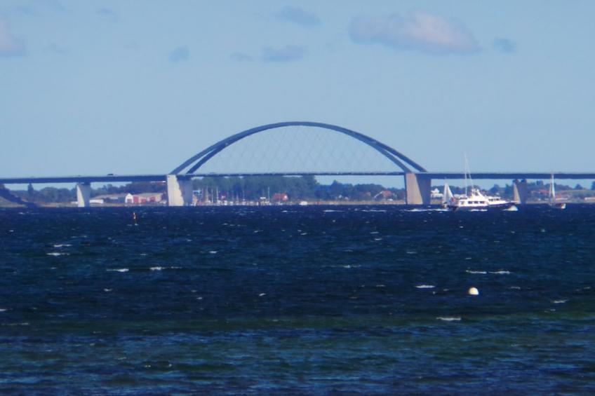 81836 - foto 21
