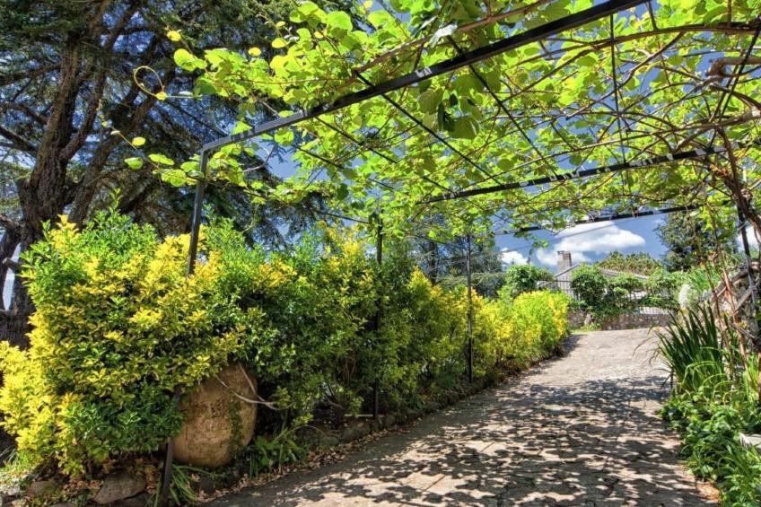 Unabhaengige Wohnung in Velva mit Garten und Grill - foto 14