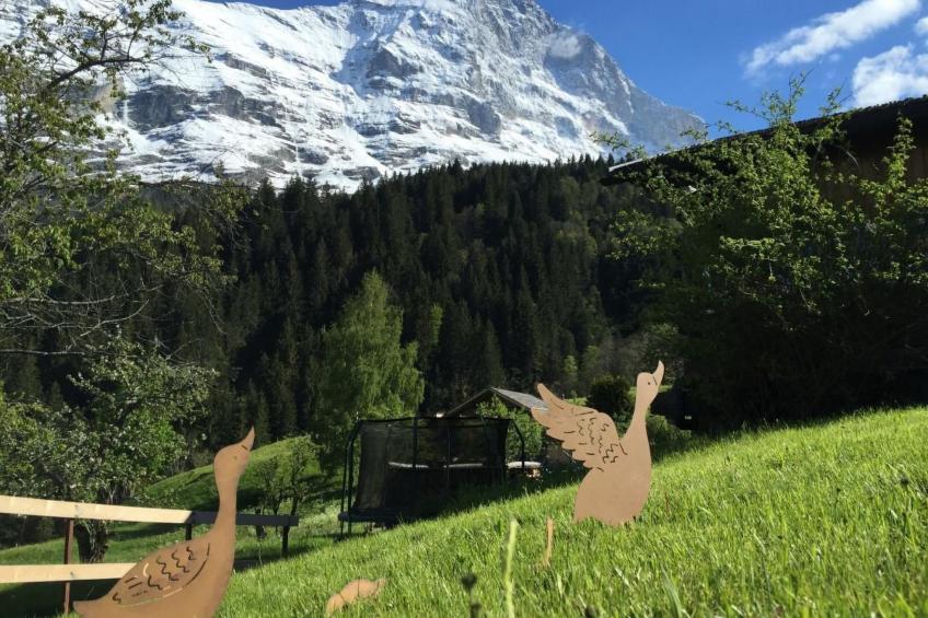 Chalet am Bühl - foto 31