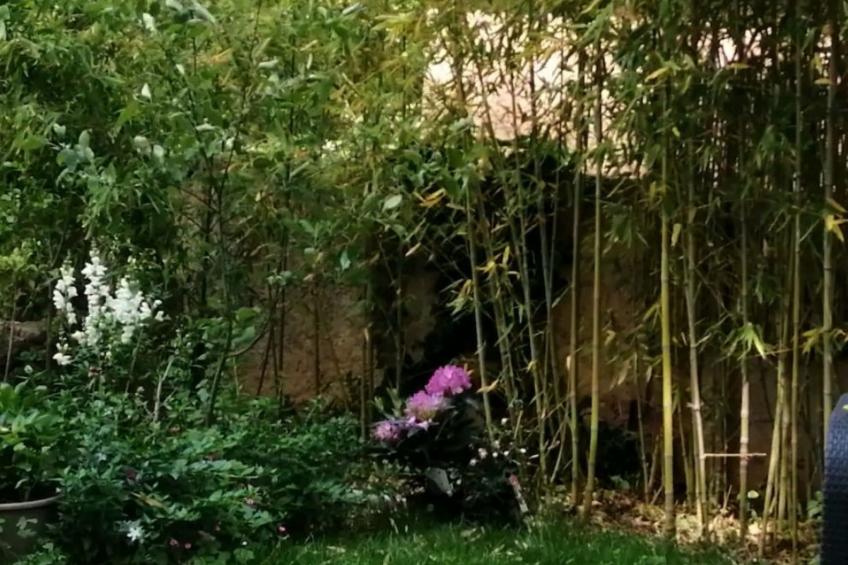 Haus mit Charme Landschaft von Aix - foto 17