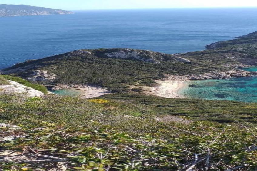 Bohemia Beach House - foto 40