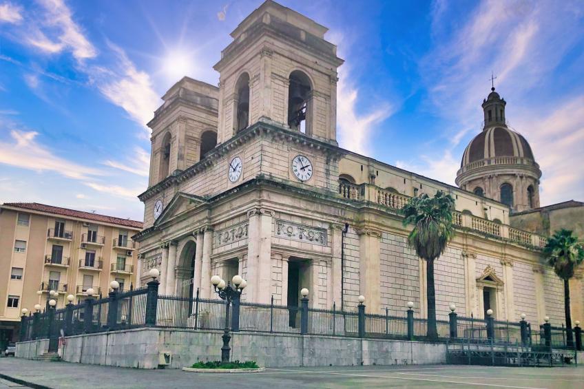 Avocado Garten - foto 46