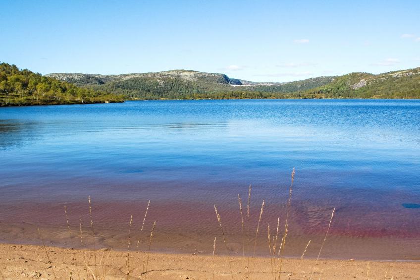 Trondbu (SOW106) - foto 49