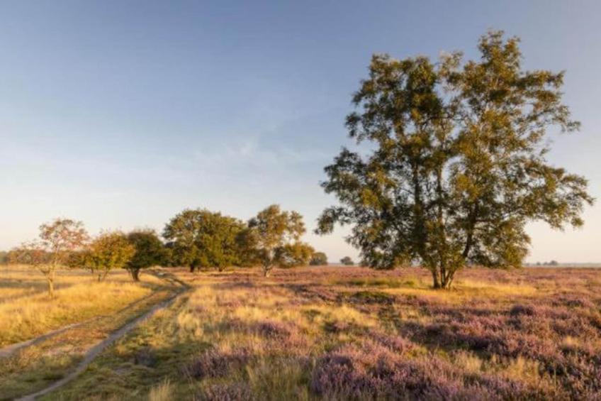 Bospark Lunsbergen - foto 38