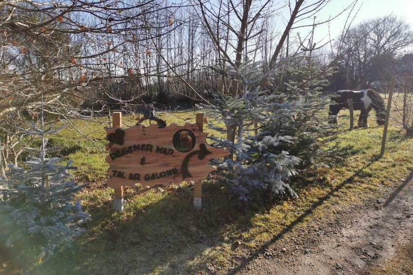 Pleine Nature in der Bretagne - foto 12