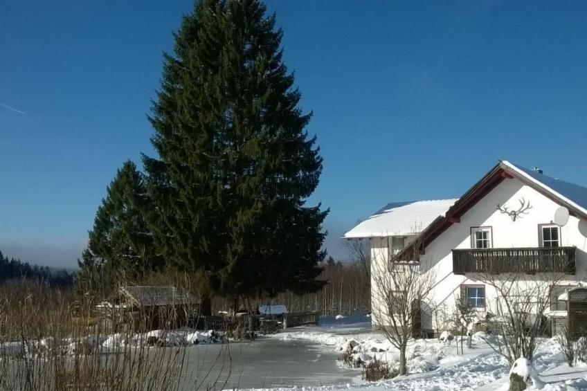 Wohnung in Haidmühle mit Garten und Grill